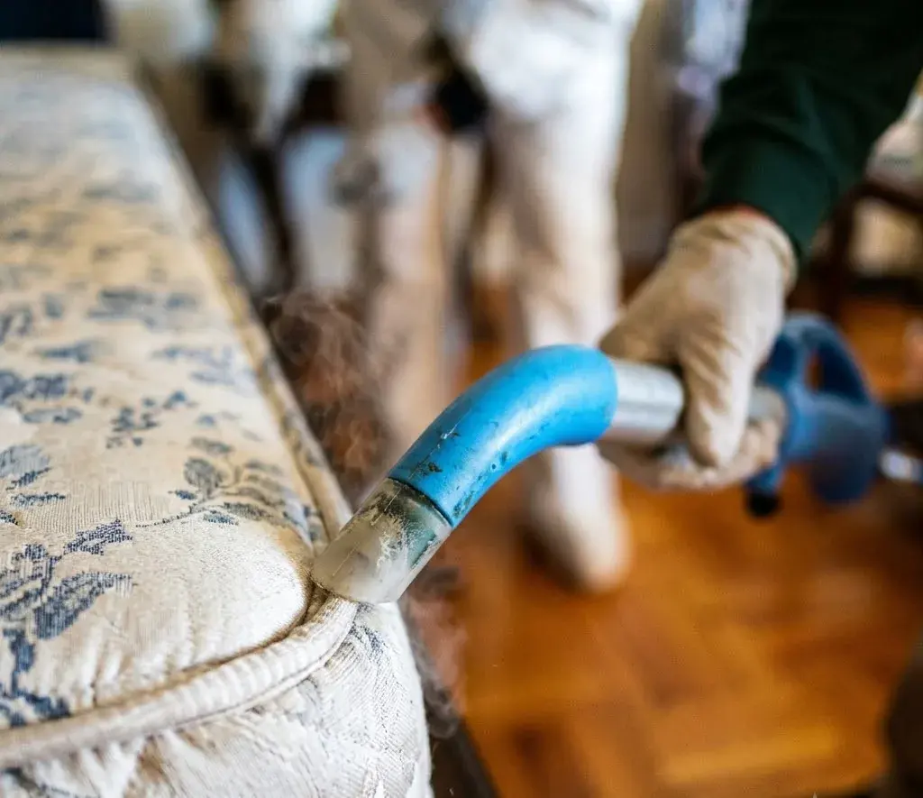 Bed Bugs and Beach Rentals: Bringing Them Home in Conway, SC