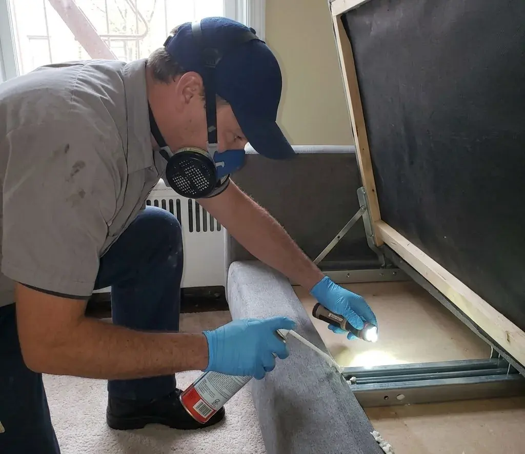 Bed Bug Treatment service in Conway, SC