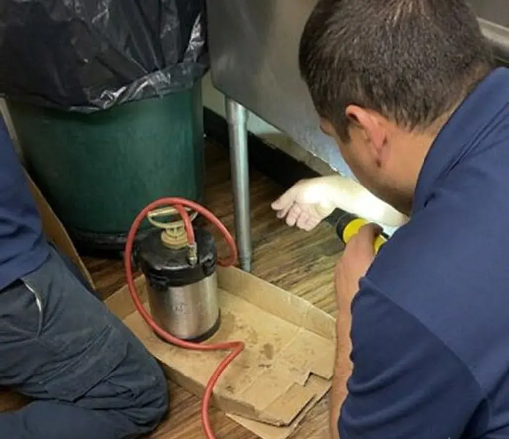 Post-Storm Pest Control: What to Check After Flooding