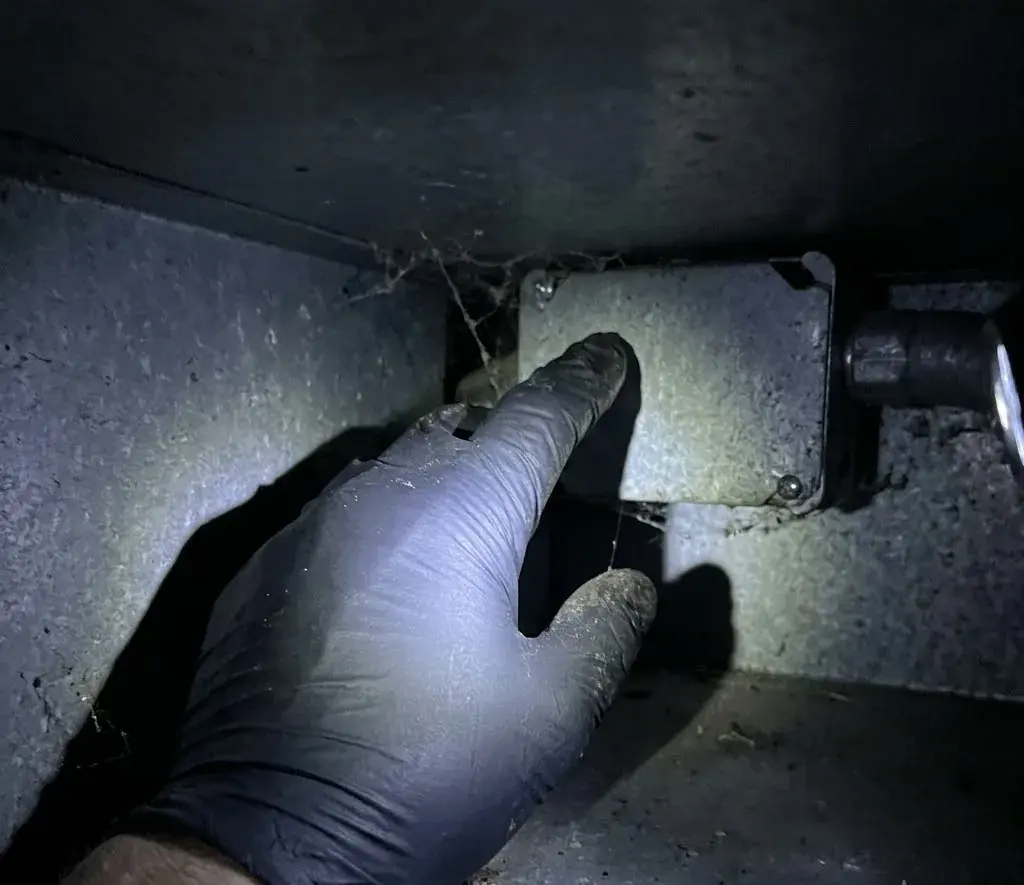 Attic Pest Control service in Conway, SC