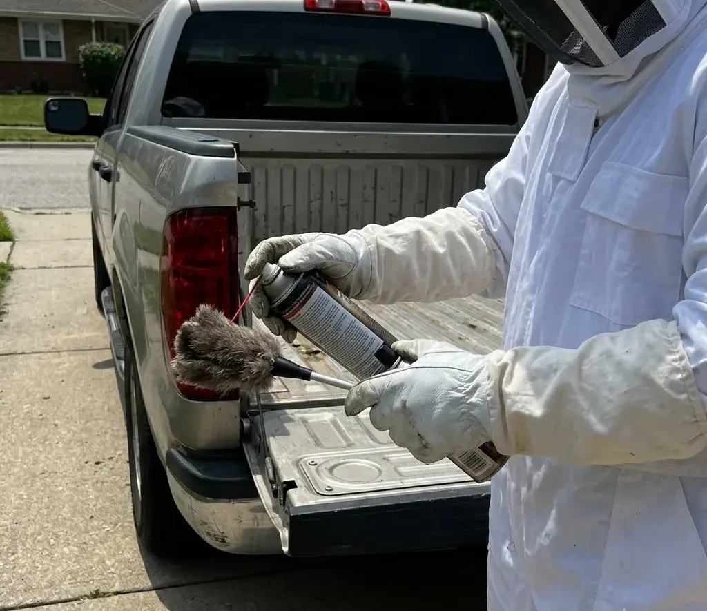 Mole Crickets identification and control in Conway, SC