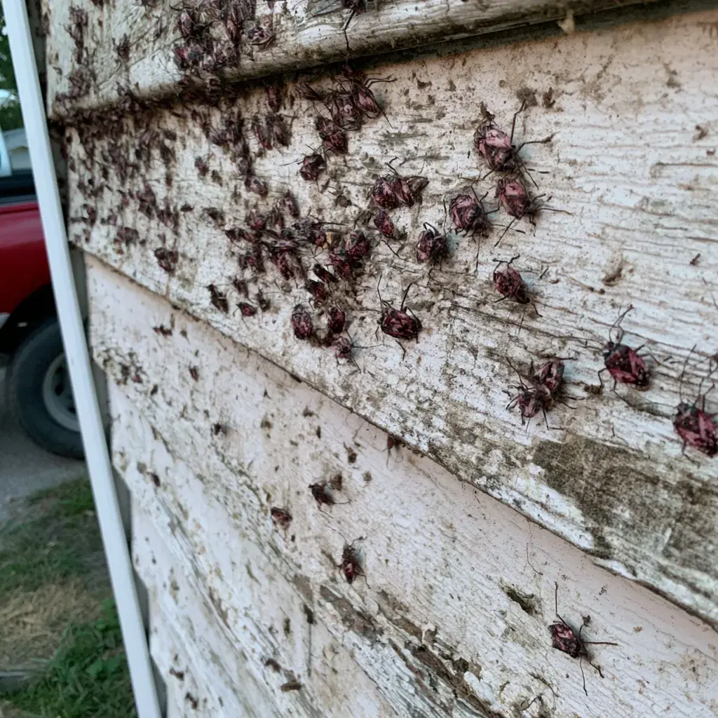 Healthcare & Assisted Living pest control in Conway, SC